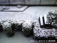100218-2.jpg