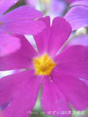2010041114170000.jpg