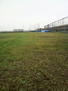 P1010219.jpg