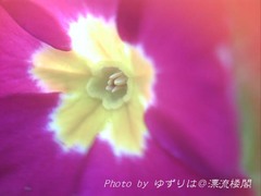 PICT0013.jpg