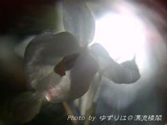 PICT0016.jpg