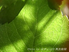 PICT0027.jpg