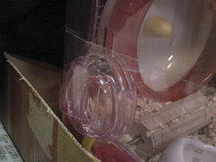 100129-6.jpg