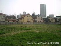 20100321-1.jpg