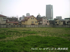20100321-1.jpg