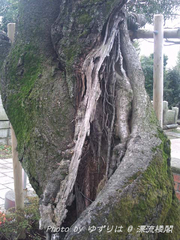 20100321-2.jpg