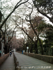 20100323-2.jpg