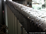 DSCF0006_2.JPG