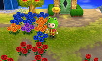 HNI_0021_JPG.JPG
