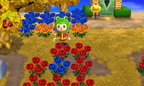 HNI_0028_JPG.JPG