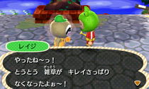 HNI_0079_JPG.JPG