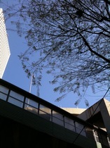 IMG_1440.JPG