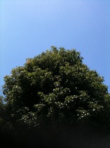 IMG_1822.JPG