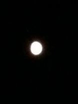 IMG_2293.JPG