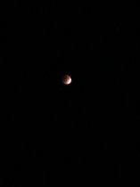 IMG_2296.JPG