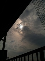 IMG_2813.JPG