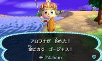 arowana.jpeg