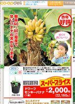 banana.jpg