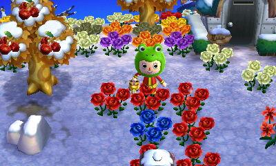 bluerose.jpg