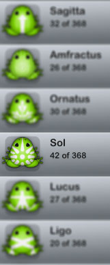 frog-3.jpg