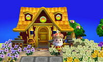 gold-house.jpeg