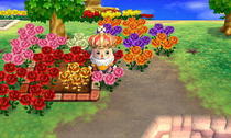 gold-rose.jpeg