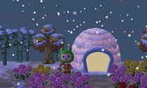 igloo.jpeg