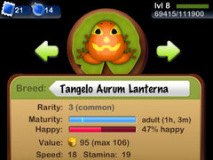 lanterna.jpg