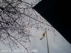 omiya8-15.jpg