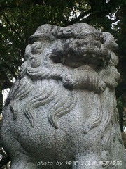 omiya8-2.jpg