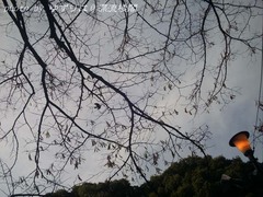 omiya8-5.jpg
