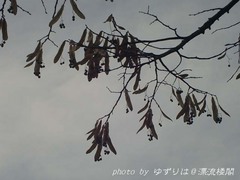omiya8-6.jpg