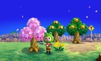 sakura-3.jpg