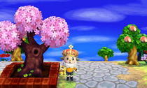 sakura.jpeg