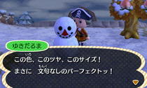 yukidaruma2.jpeg