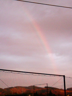 200612101618000.jpg