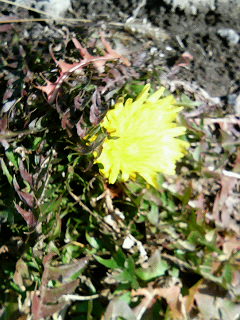 200701271304000.jpg
