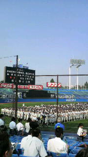 2008070515320000.jpg