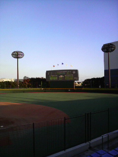 2008111315390000.jpg
