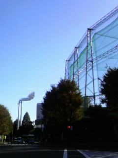 P1010291.jpg