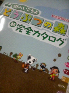 2008122017420000.jpg