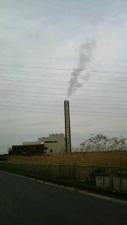 2009021109000000.jpg