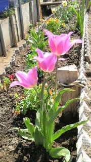 2009041118210000.jpg