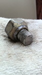 P1000082.jpg