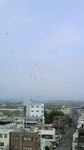 2009050510150000.jpg